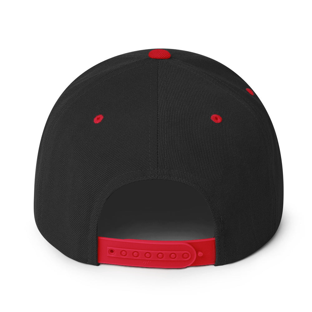 The Authoritee™ Snapback Hat (20 colors available)